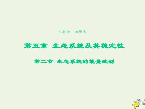 高中生物第五章生态系统及其稳定性第2节生态系统的能量流动(三)课件必修3