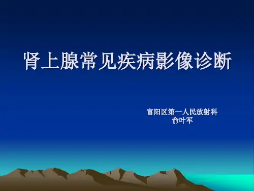 肾上腺常见疾病影像诊断(1)