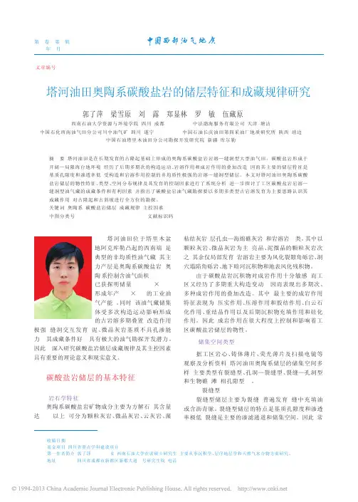 塔河油田奥陶系碳酸盐岩的储层特征和成藏规律研究_郭了萍