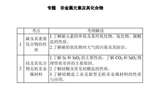 高考化学第二轮复习专题非金属及其化合物PPT课件