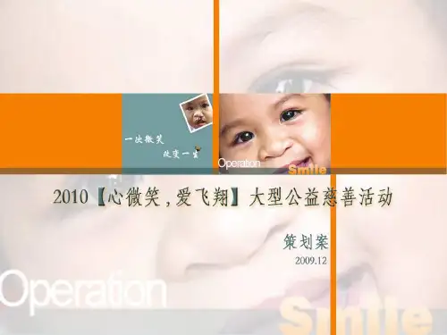 大型公益慈善活动策划方案(PPT 41张)