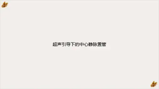超声引导下的中心静脉置管PPT课件