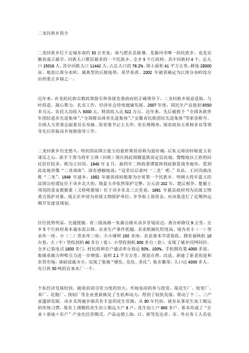 二龙回族乡简介