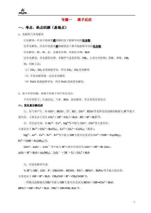 专题1  离子反应(高三总复习)