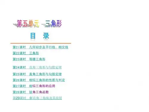 北京中考数学PPT第五单元 三角形勾股、相似、三角函数