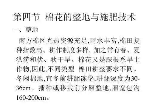 棉花栽培教学幻灯4