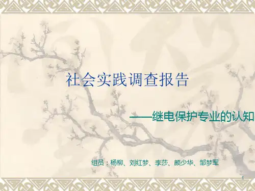 思修社会实践调查报告——PPT课件