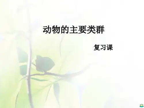 动物的主要类群复习课PPT课件