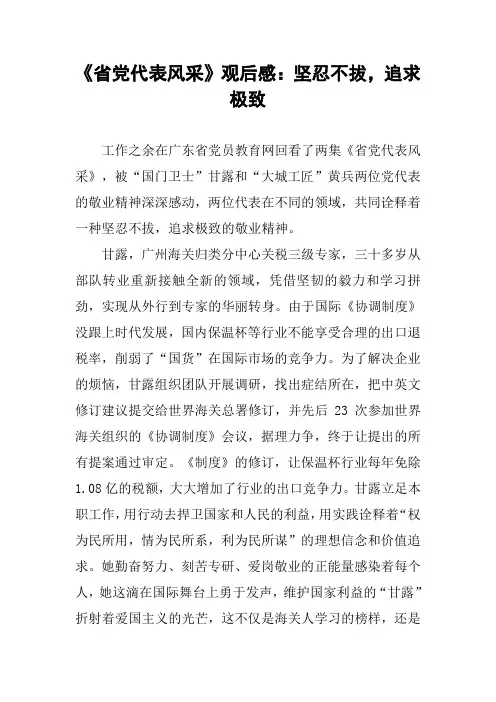 《省党代表风采》观后感：坚忍不拔,追求极致