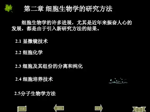 细胞生物学课件PDF 细胞生物学技术