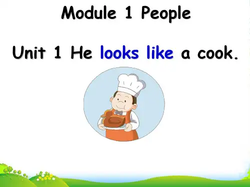 教科版四年级下册英语Module1 unit1 He looks like a cook课件