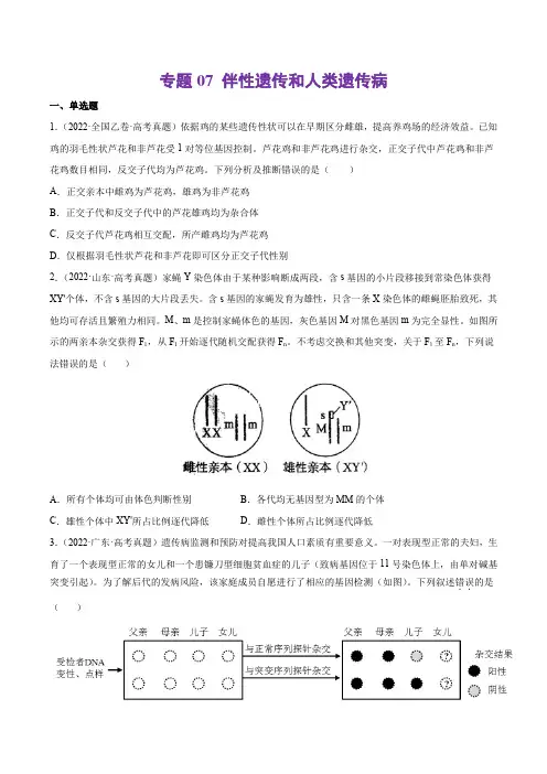 专题07 伴性遗传和人类遗传病-五年(2018-2022)高考生物真题分项汇编(原卷版)