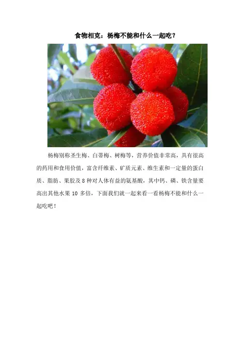 食物相克：杨梅不能和什么一起吃？