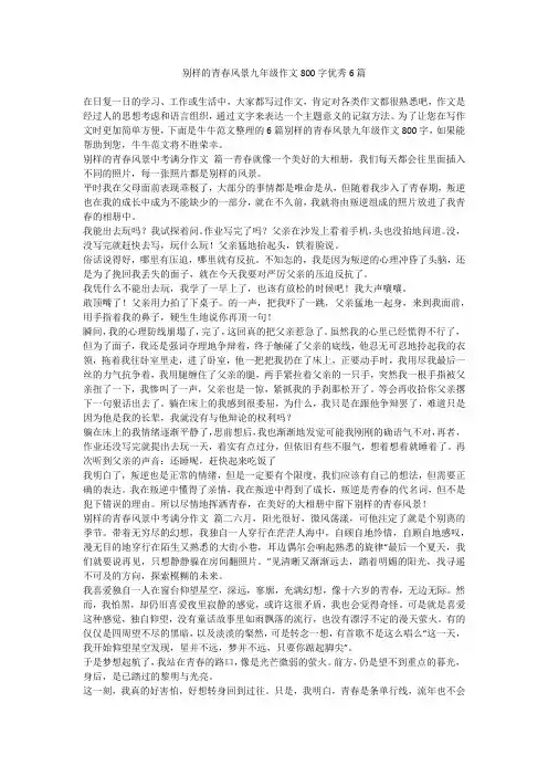 2023最新-别样的青春风景九年级作文800字优秀6篇