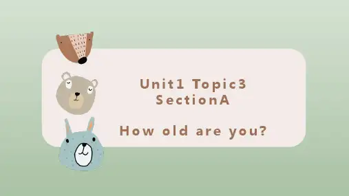 Unit1-Topic3-SectionA-课件仁爱版英语七年级上册