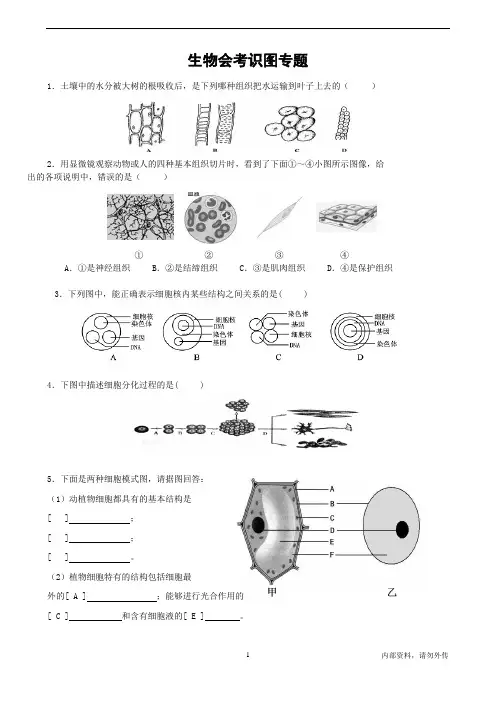 中考生物识图题