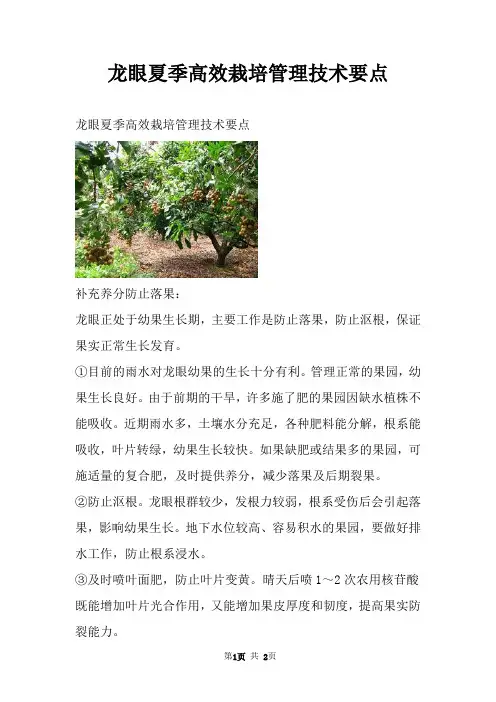 龙眼夏季高效栽培管理技术要点