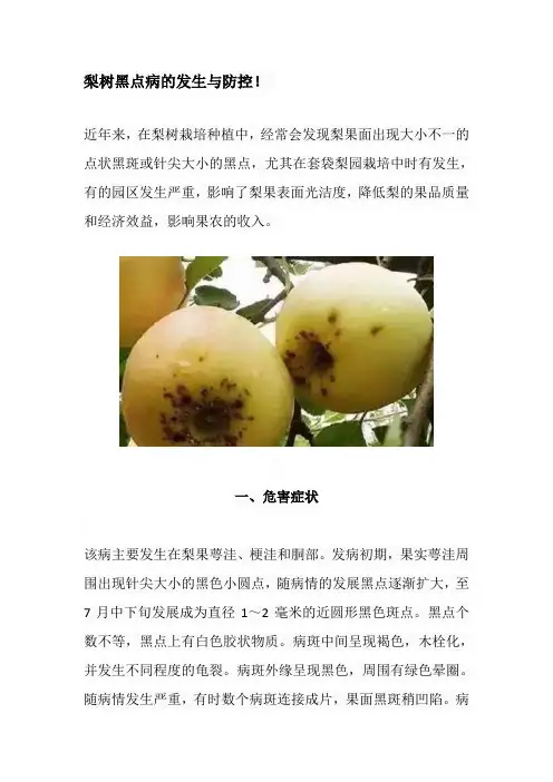 梨树黑点病的发生与防控