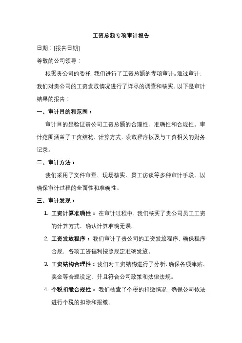 工资总额专项审计报告