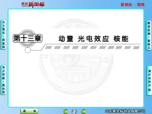2013新课标高中物理总复习第13章---第1讲