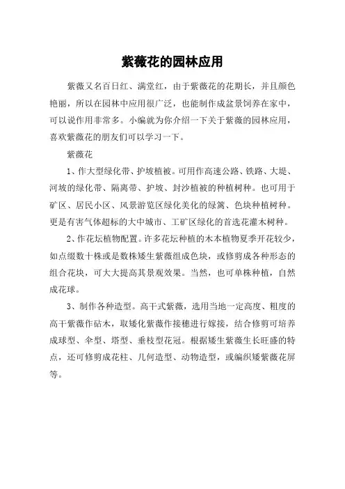 紫薇花的园林应用