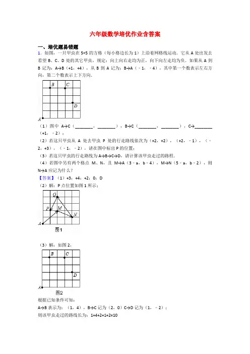 六年级数学培优作业含答案