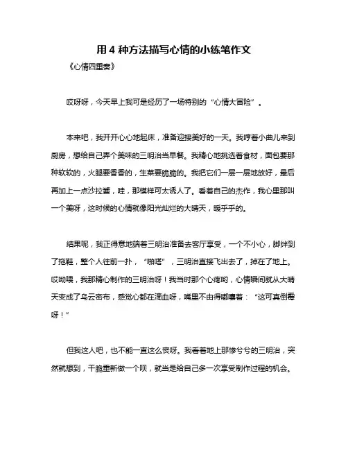 用4种方法描写心情的小练笔作文