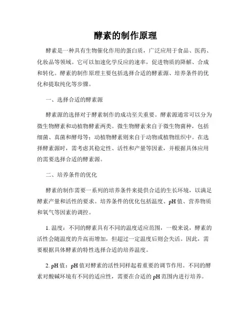 酵素的制作原理