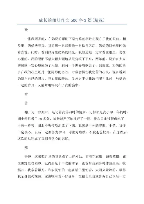 成长的相册作文500字3篇(精选)