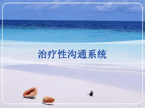 治疗性沟通系统