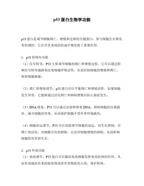 p53蛋白生物学功能