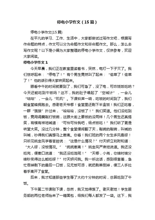 停电小学作文（15篇）