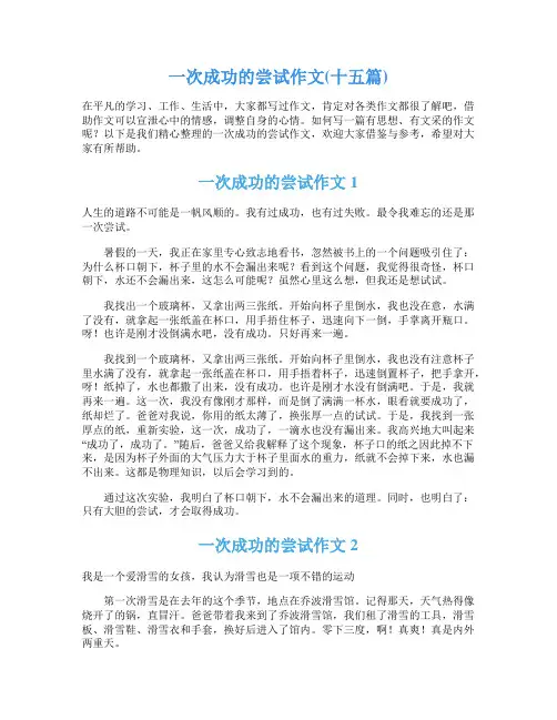 一次成功的尝试作文(十五篇)