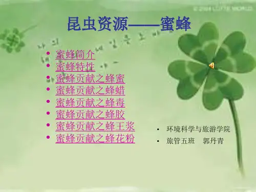 资源昆虫——蜜蜂
