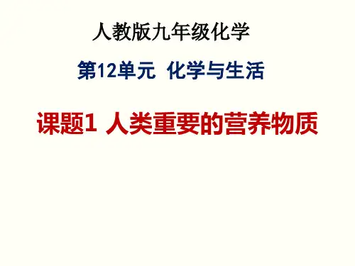 人教版九年级化学第12单元课题1人类重要的营养物质