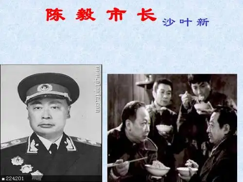 陈毅市长
