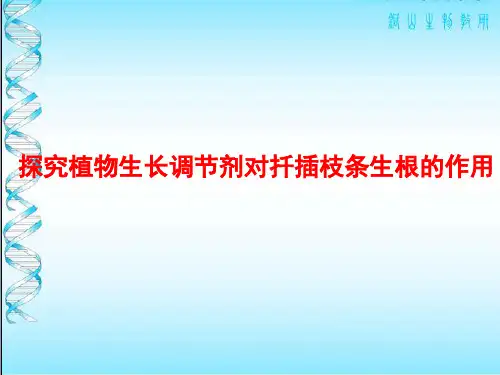 探究植物生长调节剂对扦插枝条生根的影响