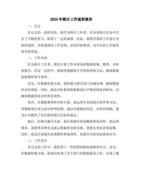 2024年统计工作述职报告