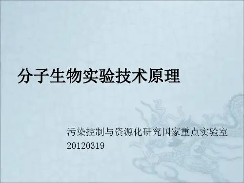 《分子生物实验技术》PPT课件
