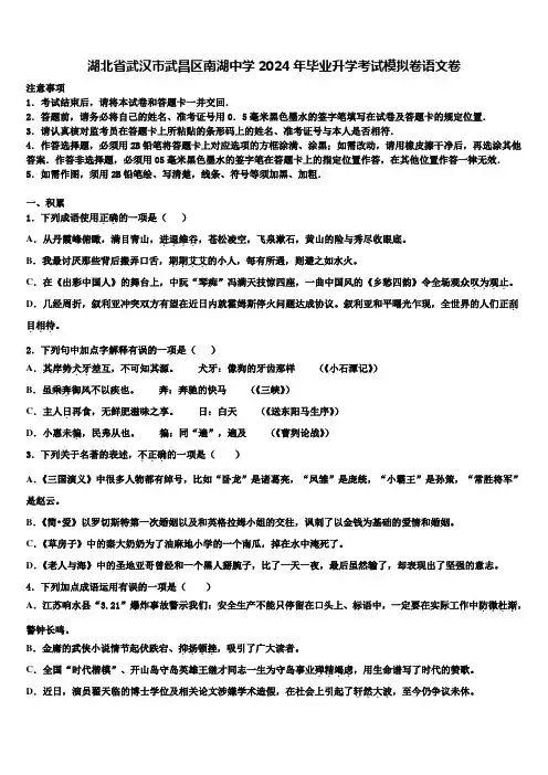 湖北省武汉市武昌区南湖中学2024年毕业升学考试模拟卷语文卷含解析