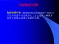 免疫缺陷动物转基因动物
