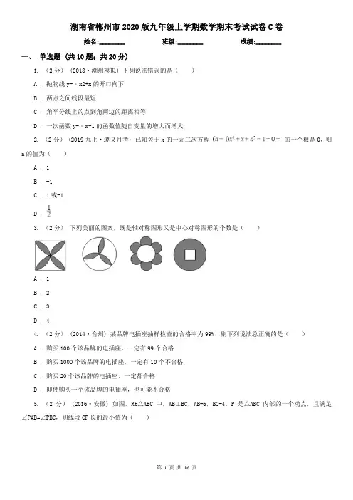 湖南省郴州市2020版九年级上学期数学期末考试试卷C卷