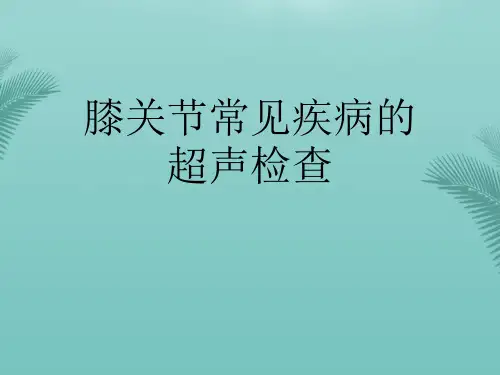 【推荐文档】膝关节常见疾病的超声检查PPT
