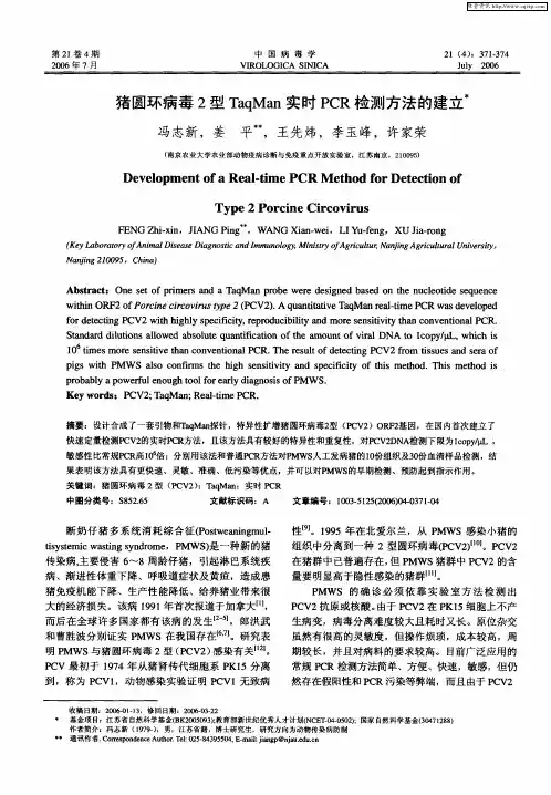 猪圆环病毒2型TaqMan实时PCR检测方法的建立