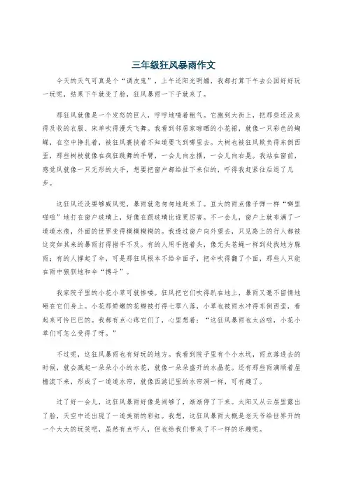 三年级狂风暴雨作文