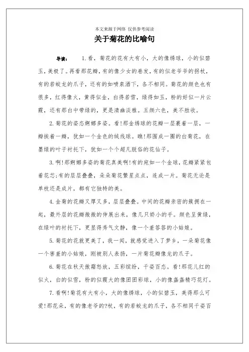 关于菊花的比喻句