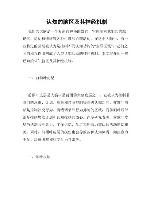 认知的脑区及其神经机制
