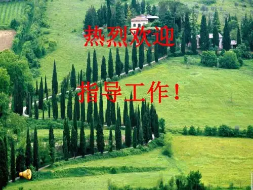 五年级语文上册 第七单元 鹬蚌相争课件4 西师大版
