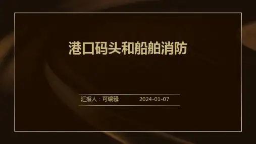 港口码头和船舶消防