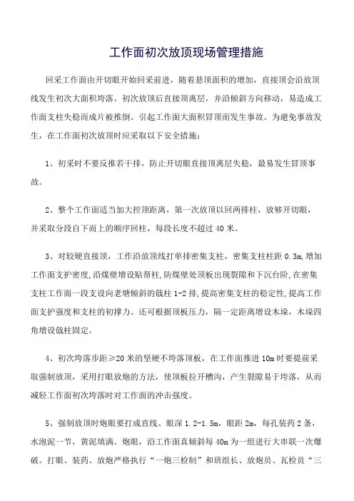 推荐-工作面初次放顶现场管理措施